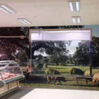 VINILOS Y MURALES DECORATIVOS (3) VINILOS Y MURALES DECORATIVOS (3)