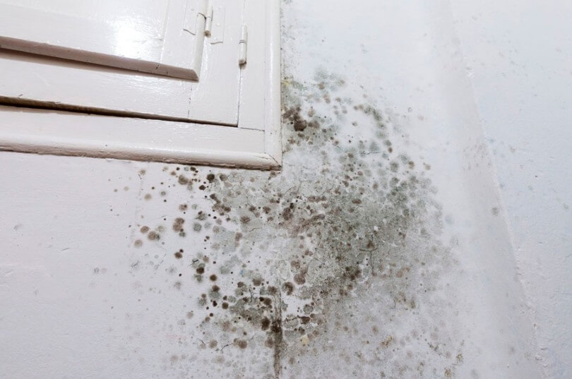 humedad alrededor de la ventana